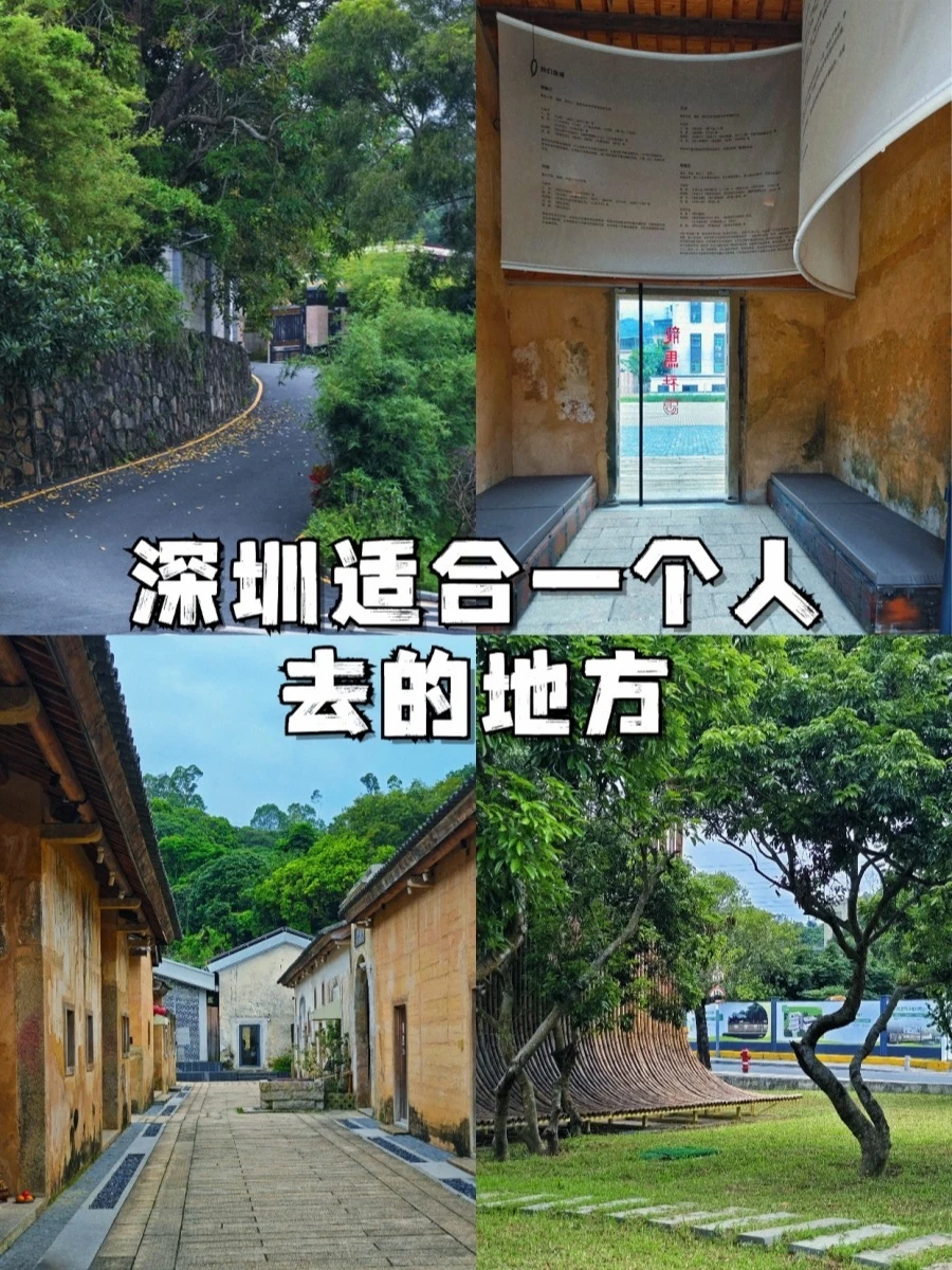 深圳适合一个人去的地方（50/100）