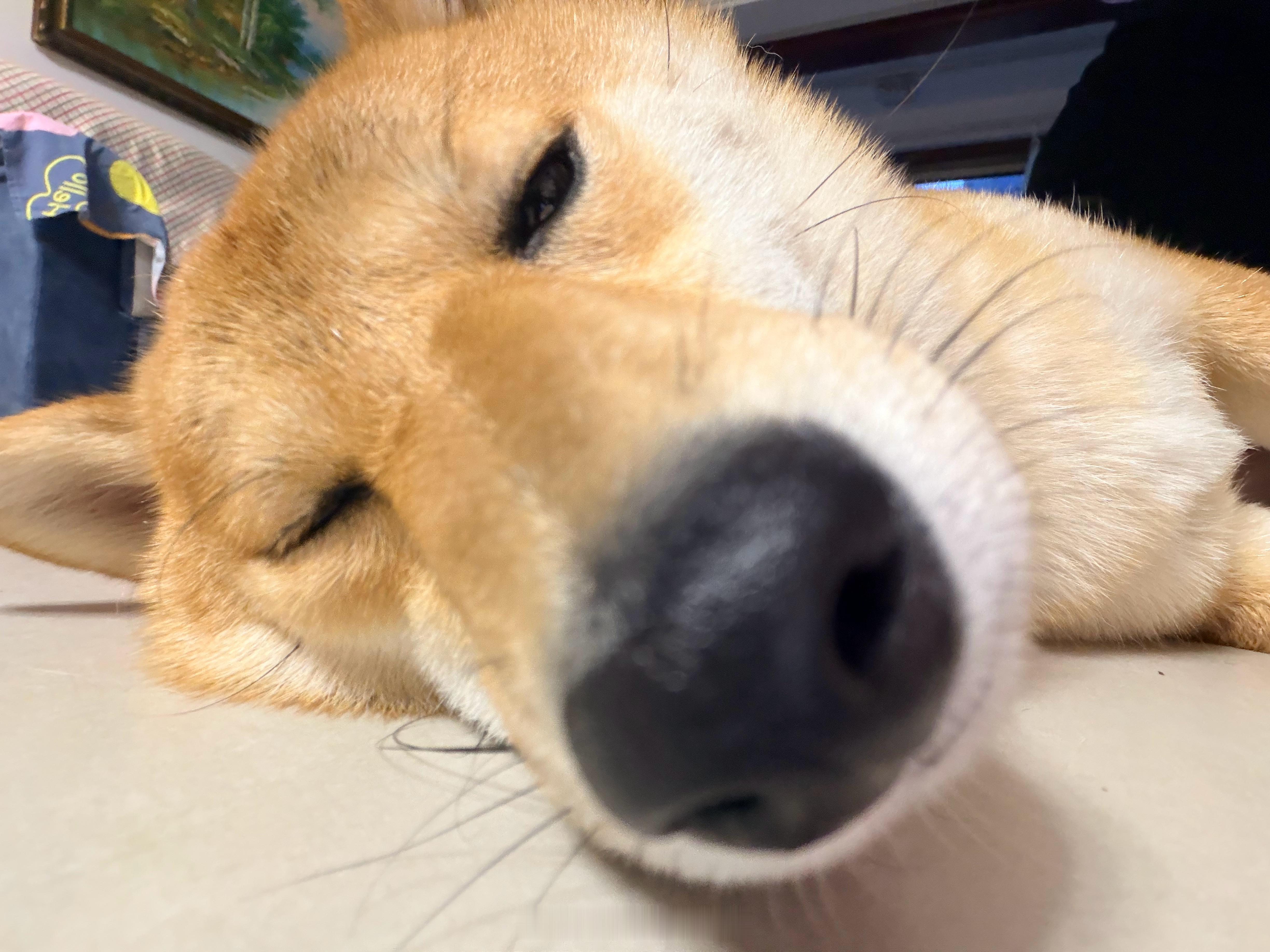 特喵的……世界杯的决赛为什么要放在一个周一的凌晨[单身狗][单身狗] ​​​
