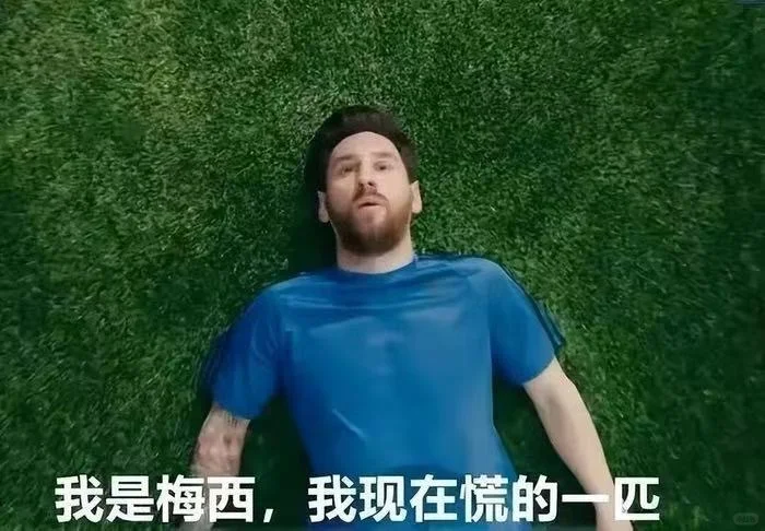睡了一觉起来不慌了