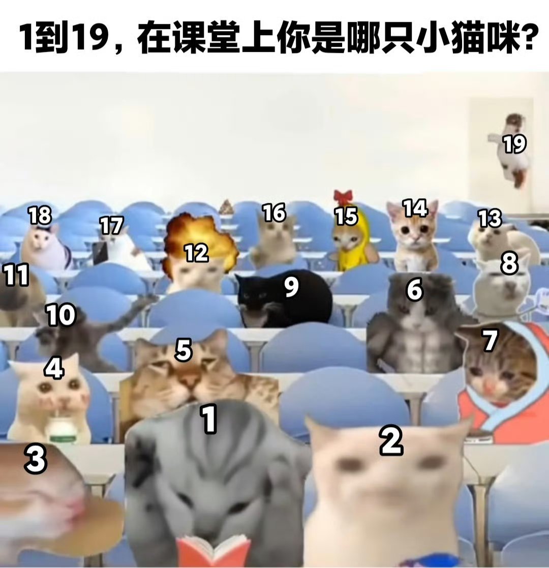 周一你是哪只小猫咪🥺

#一些怪图# ​