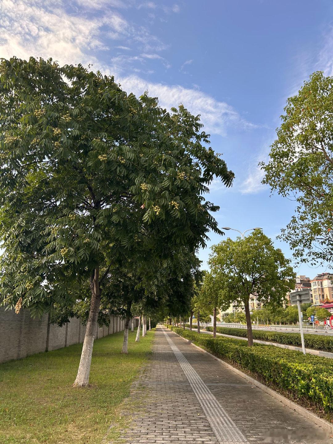 嗯…
感觉在淮安生活跟在南京没差…
物价一样…湿度一样…道路也很像[思考]  ​