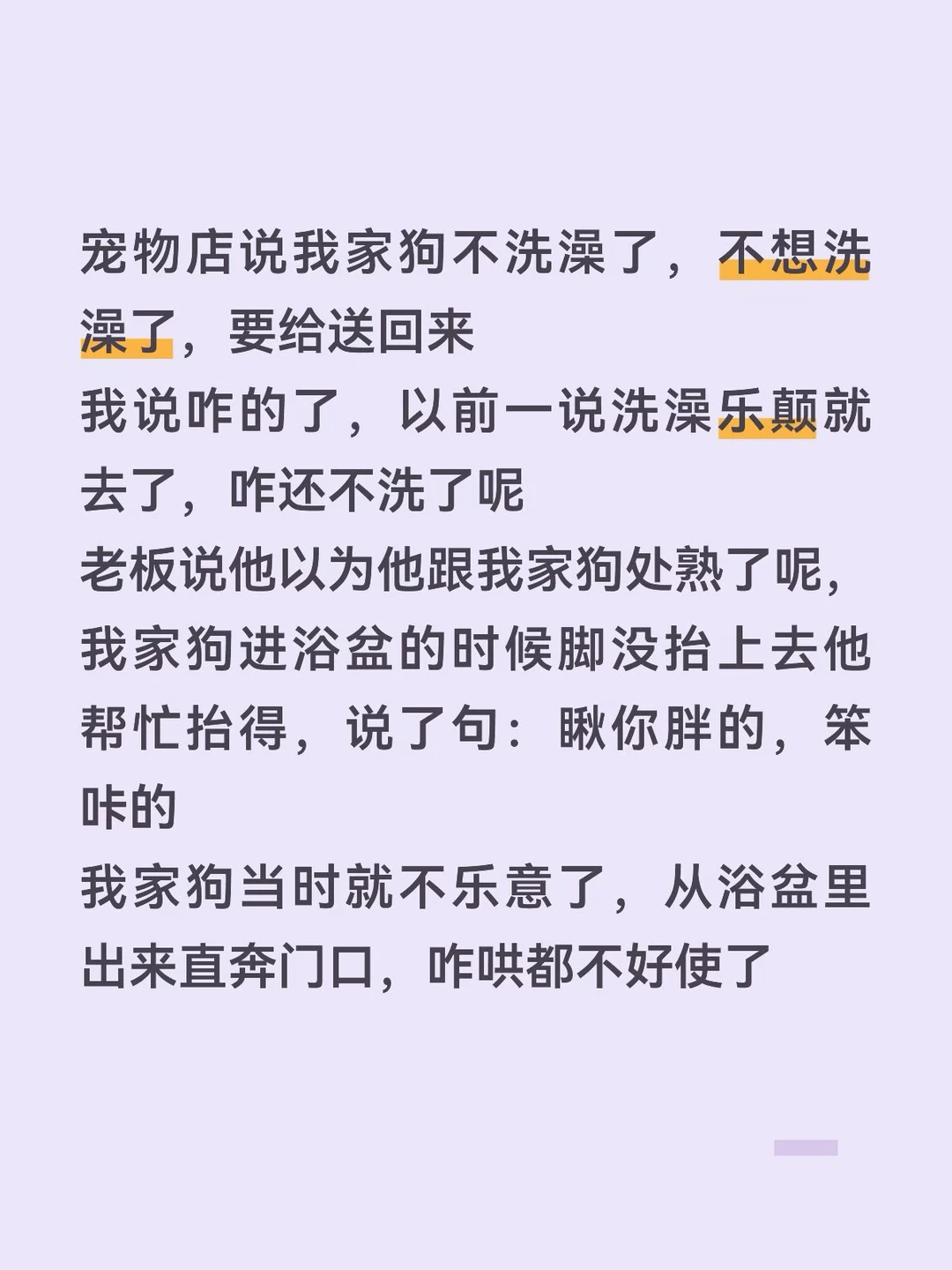 我爸去接狗 它脑袋顶门上谁说话都不好使 连它最喜欢的店员都没劝动
完了 要把这家