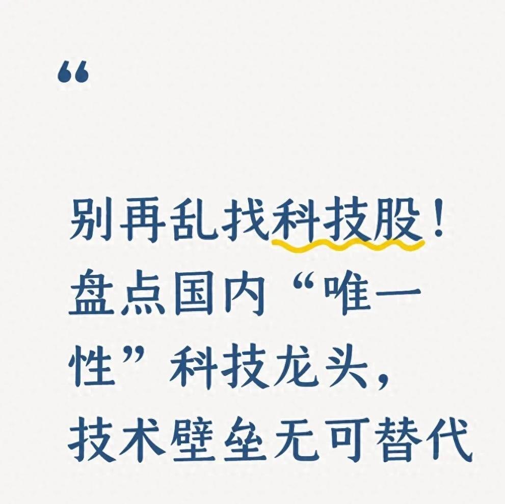 别再盯着名字里带“科技”俩字的买了，这八家才是真卡不住脖子的独苗
五分钟，他亏掉