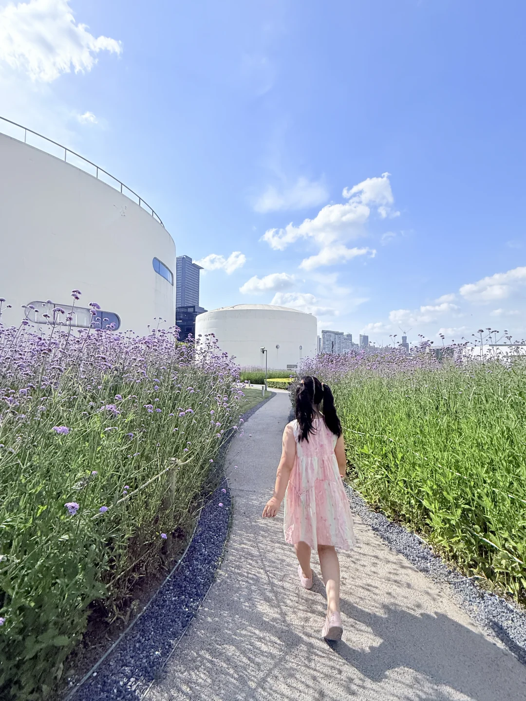 上海免费花海‼️西岸5月限定浪漫💕