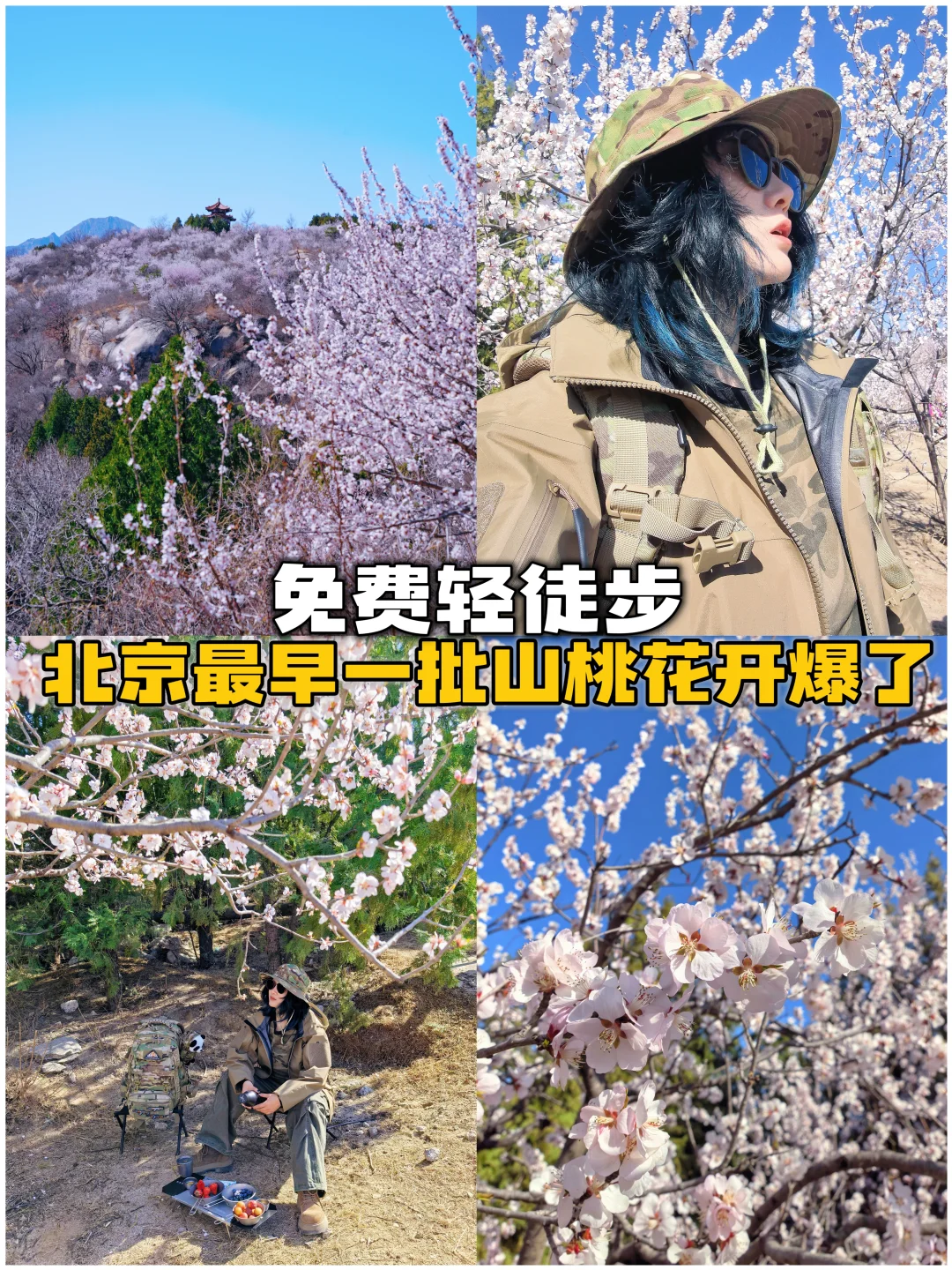 免费轻徒步｜北京2026早春桃花已开满山坡