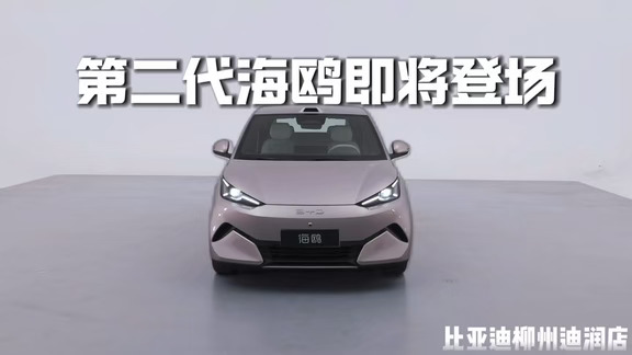 第二代海鸥即将登场