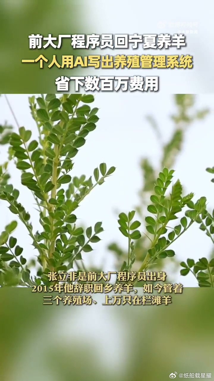 #大厂程序员辞职在宁夏用AI养羊#拒绝科技噱头！把前沿技术扎根田间地头，踏实助力乡村产业升级 ​