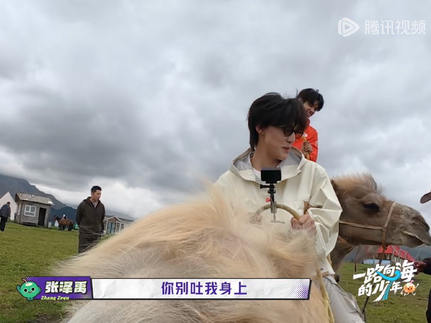 我肚子疼张泽禹嫌弃张极的骆驼 ​