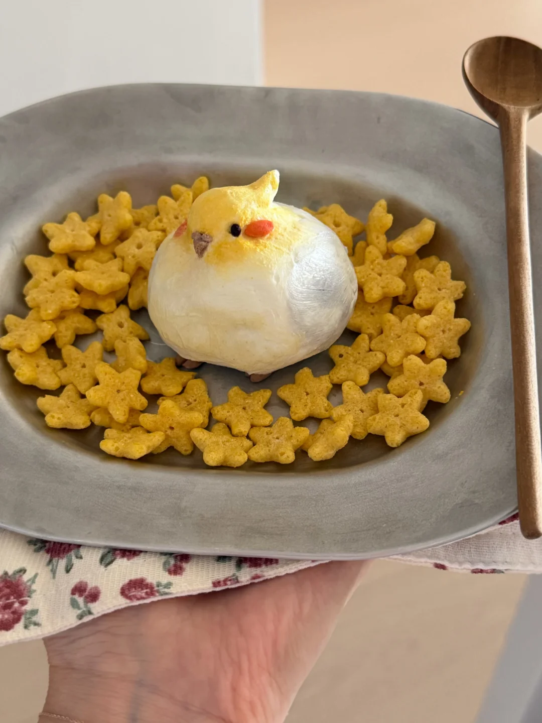 胖嘟嘟玄凤小鸟酸奶碗🥣