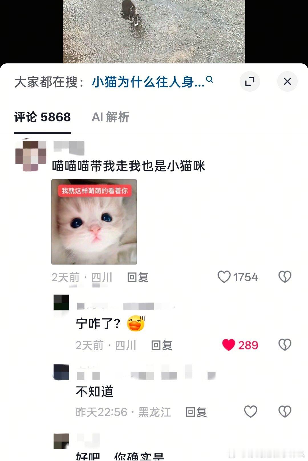 原视频是一个♂的在路边看到一个小猫准备收养。。p2是plq主页 又在跟想象中的敌人战斗 ​