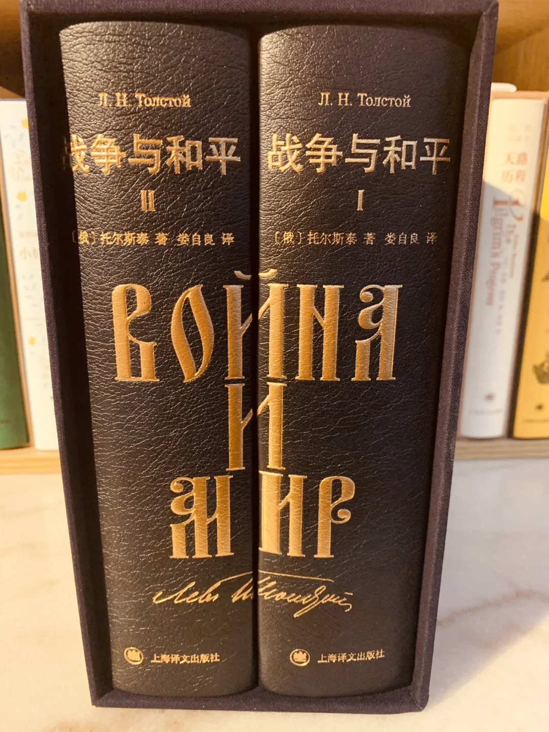 永恒的史诗～战争与和平