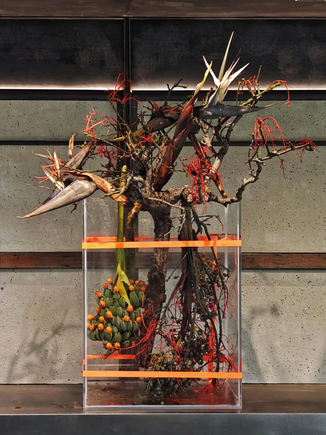 展览末班车 | 仅1周的超酷植物装置展，速冲