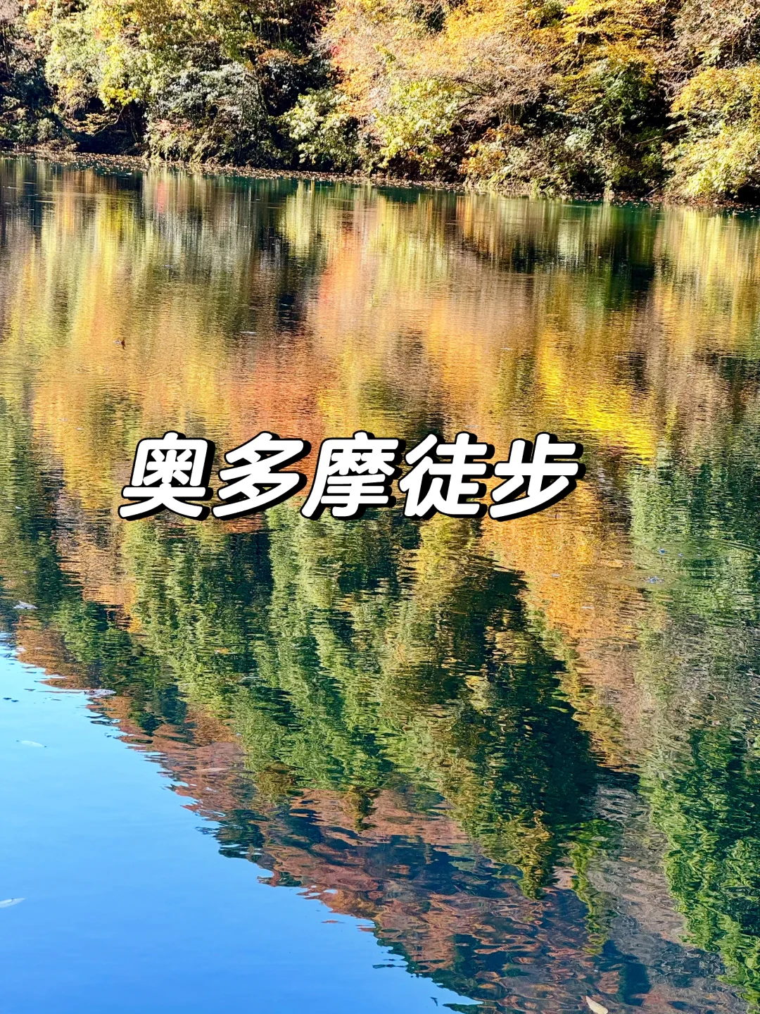 奥多摩11月20日现状🍁