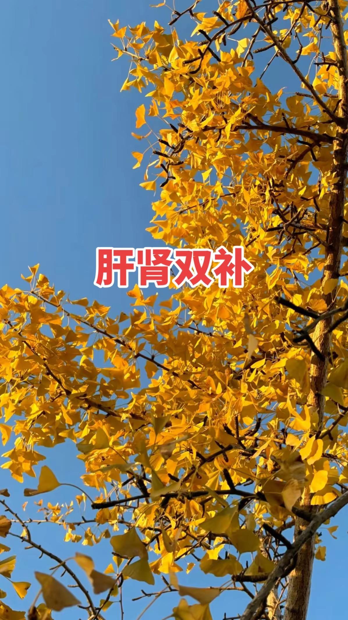 3:0横扫日本队夺得伦敦世乒赛团体冠军！12连冠当之无愧的第一！ 乒乓球 伦敦世乒赛 王楚钦