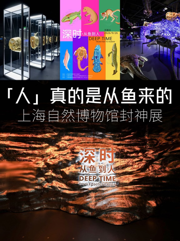 你胳膊腿、下巴耳朵都是从鱼身上长出来的…