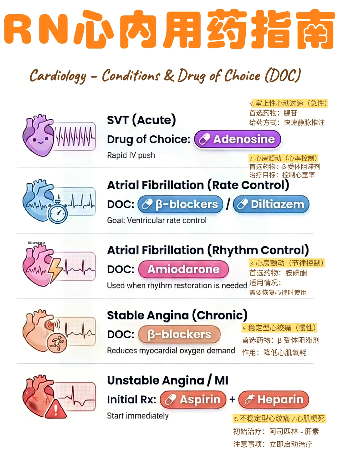 备考RN/心内用药指南！！学！！单词