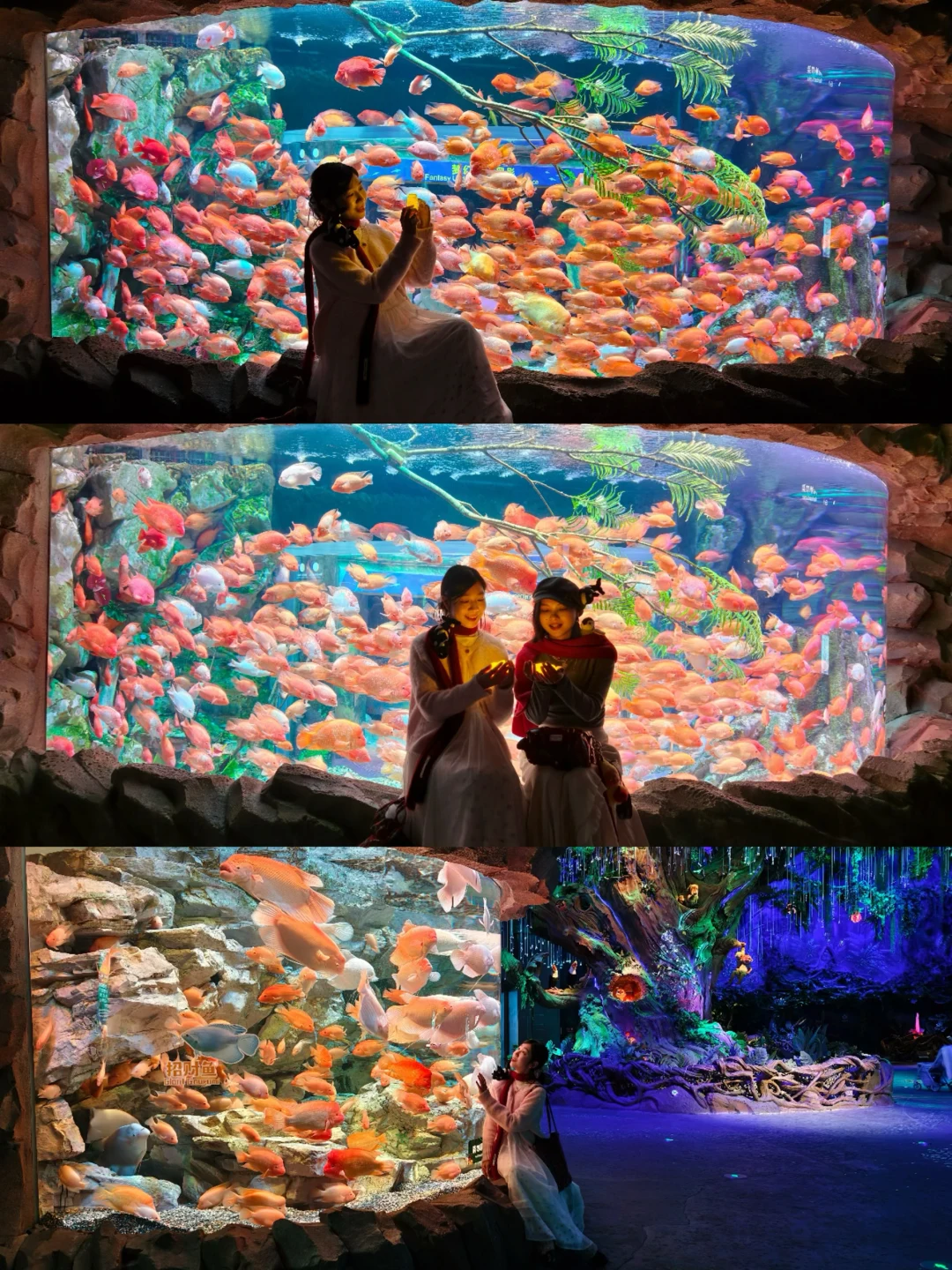 为了这组海底新年大片，我直奔珠海！