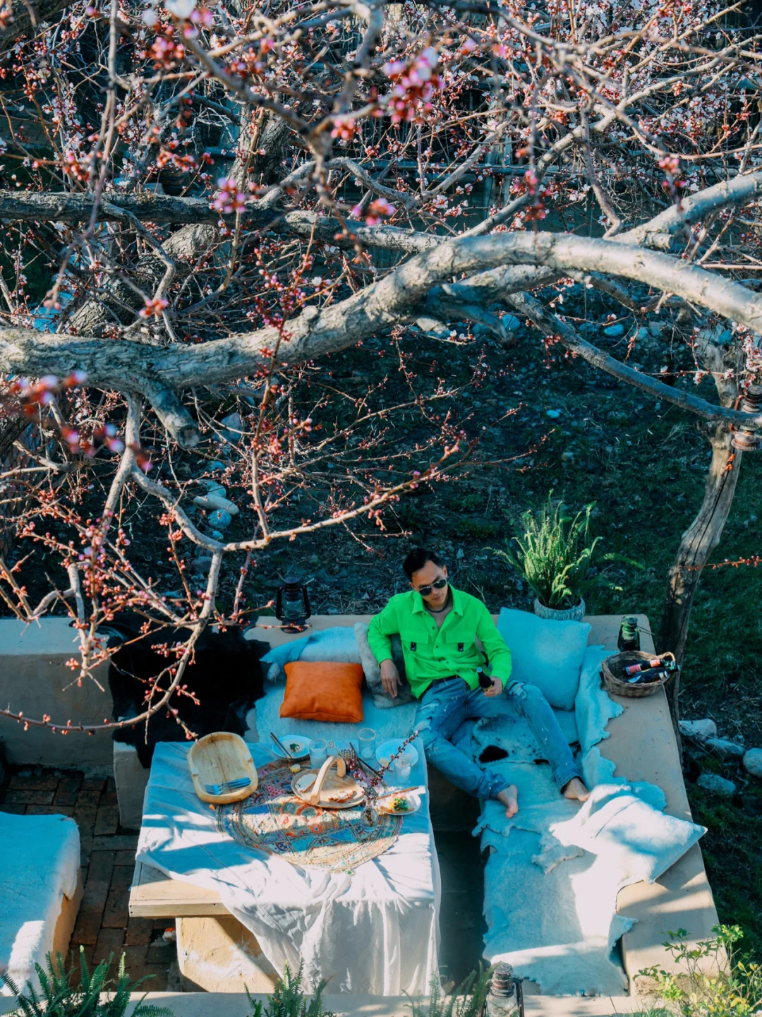 美呆了！住进了杏花树下，听薰衣草花开的美宿