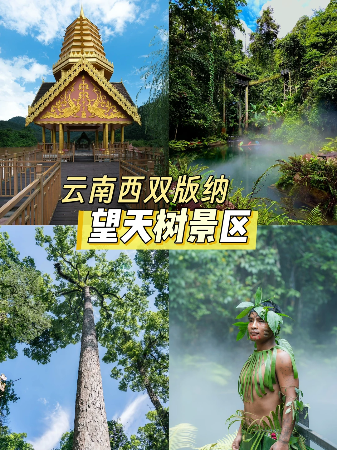 暑假遛娃｜望天树景区🌳玩着就把知识学了