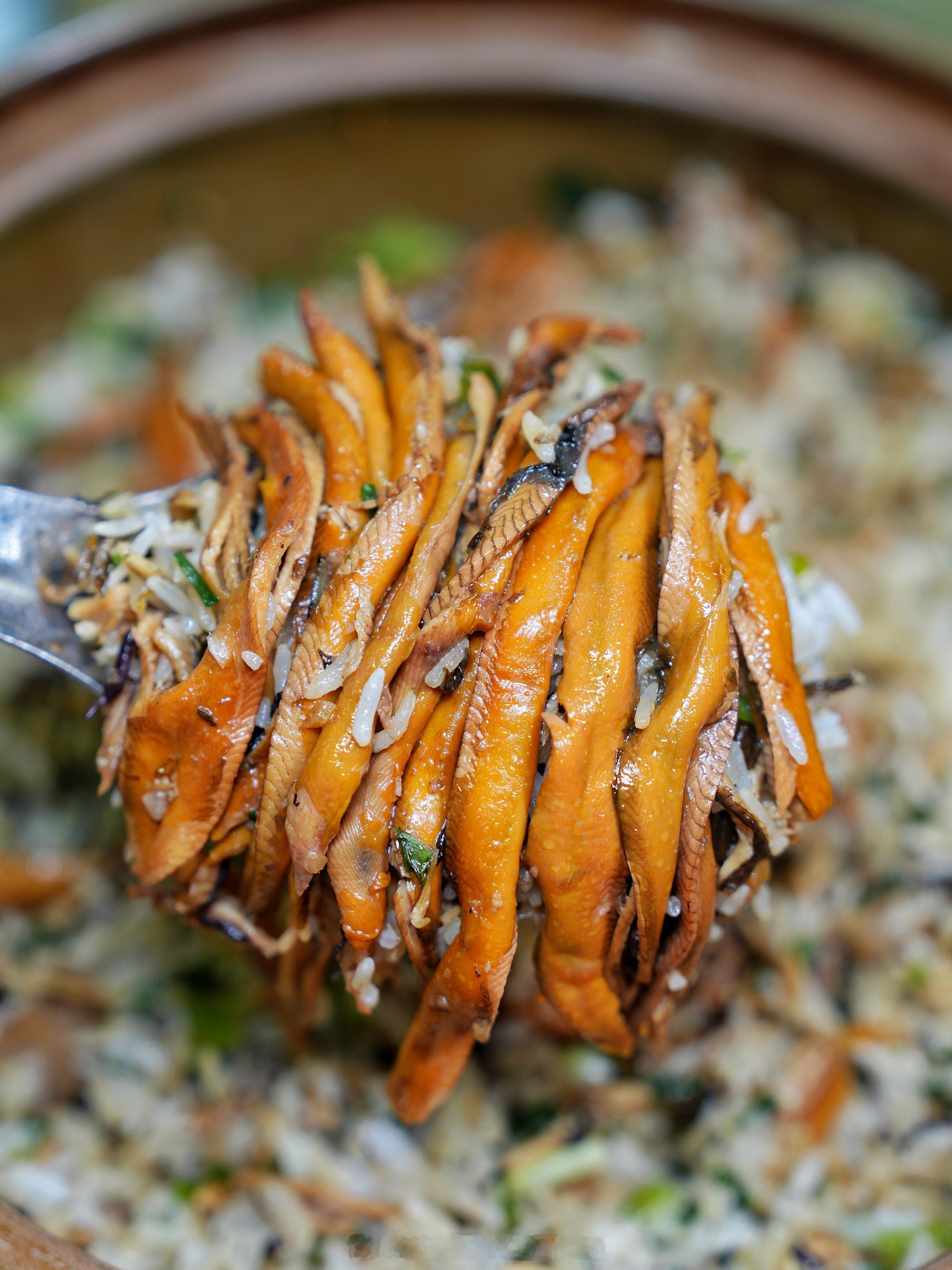 🍚为了这煲黄鳝饭，我愿意再来顺德一万次  记不清第几次来满登登了，但...