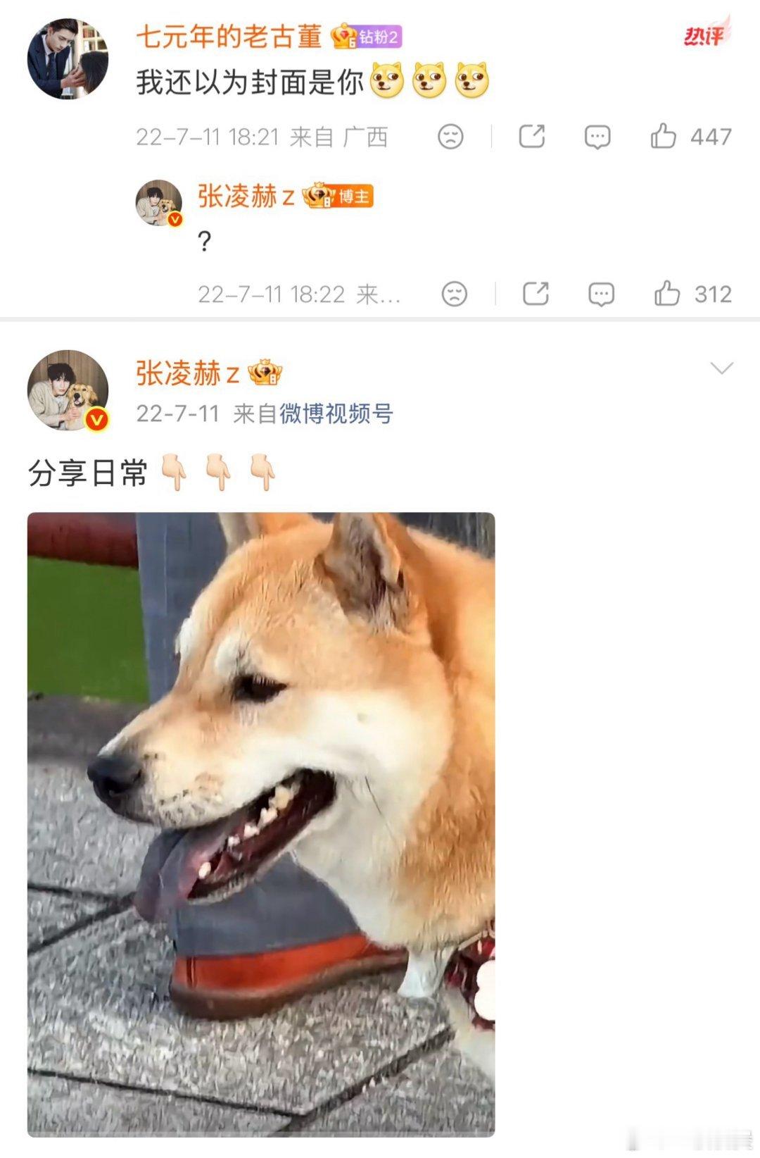 #张凌赫[超话]# 张凌赫胆子真是肥嘟嘟的 ​