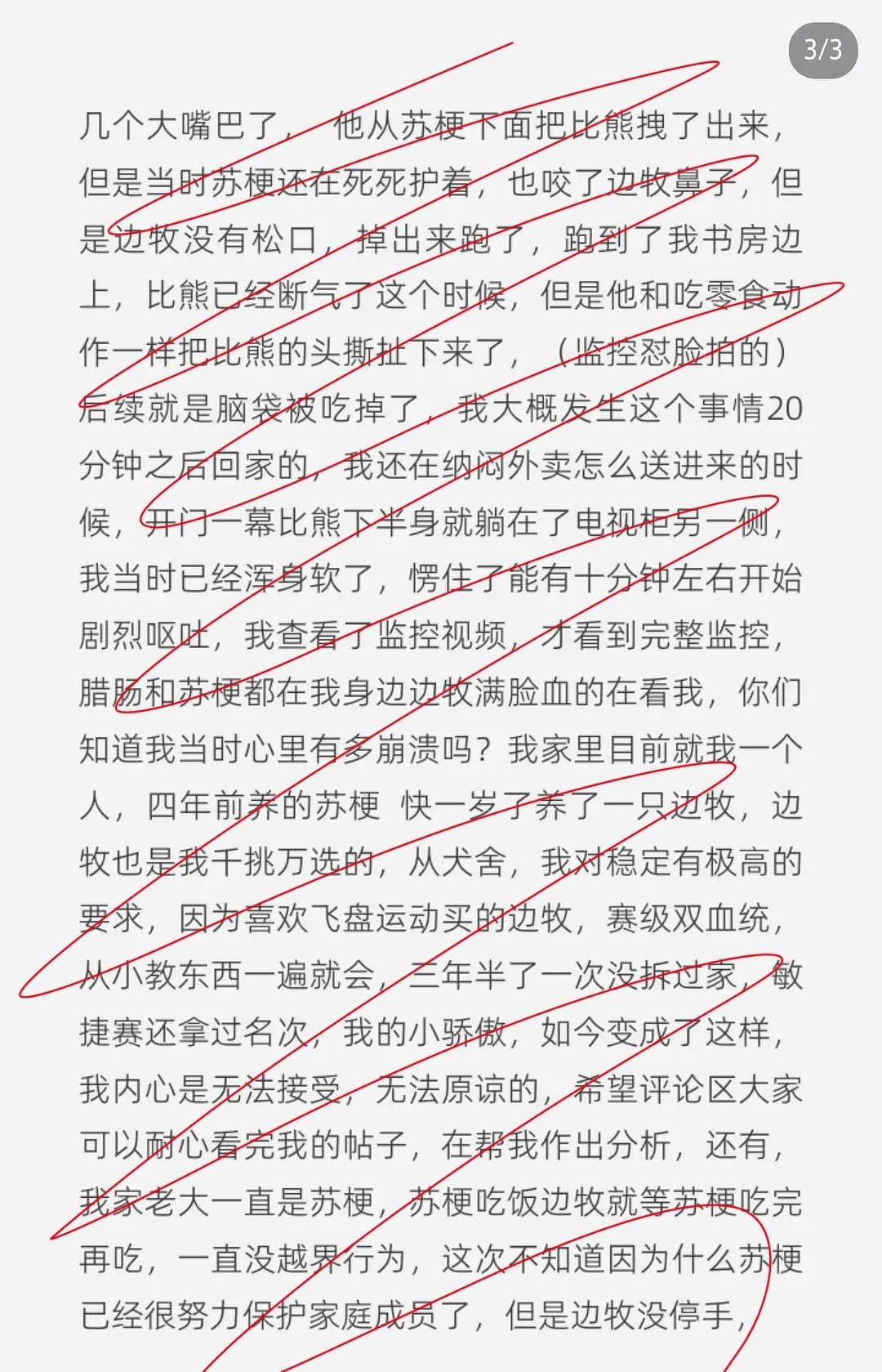 我也刷到了这个帖子，自家养的边牧吃了自家养的比熊……吓晕了…这个边牧说实话问题很大，主人也一样……这种坏z边牧不能养了… ​