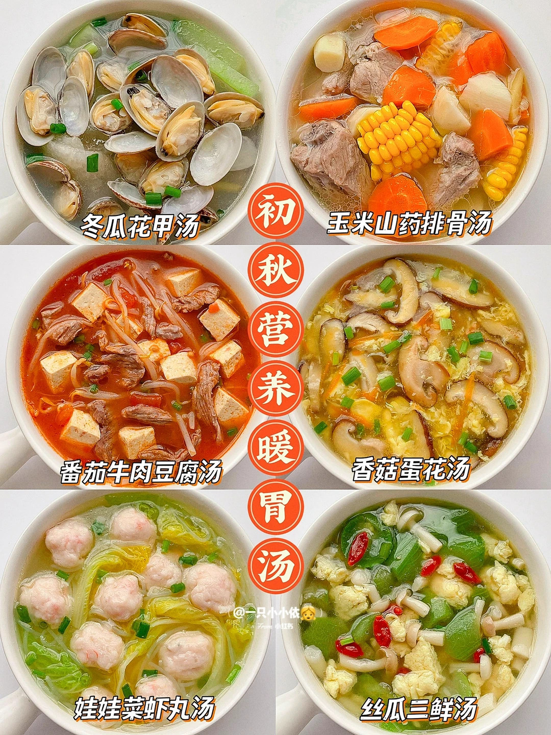 6种初秋营养暖胃汤✅补钙补铁✨美味简单易做