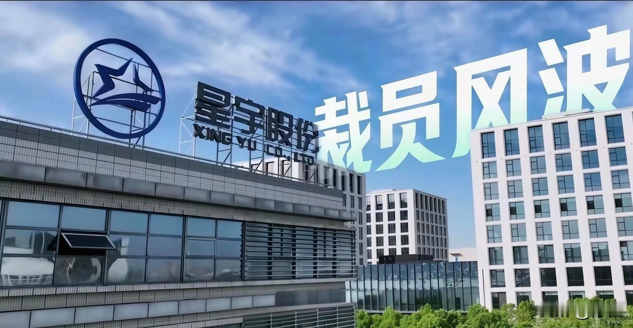 别再只盯着劳动仲裁来维权了！
 
通过星宇股份裁员事件，有勇有谋的青年学子们告诉了大家，维权途径不止一条。
 
很多普通人遭遇职场不公、被企业恶意压榨的时候，第一反应永远只有一条路：走劳动仲裁。大家根深蒂固地认为，这是唯一合法、唯一靠谱的维权渠道。可现实里，无数打工人都栽在了这条路上。流程冗长拖沓、