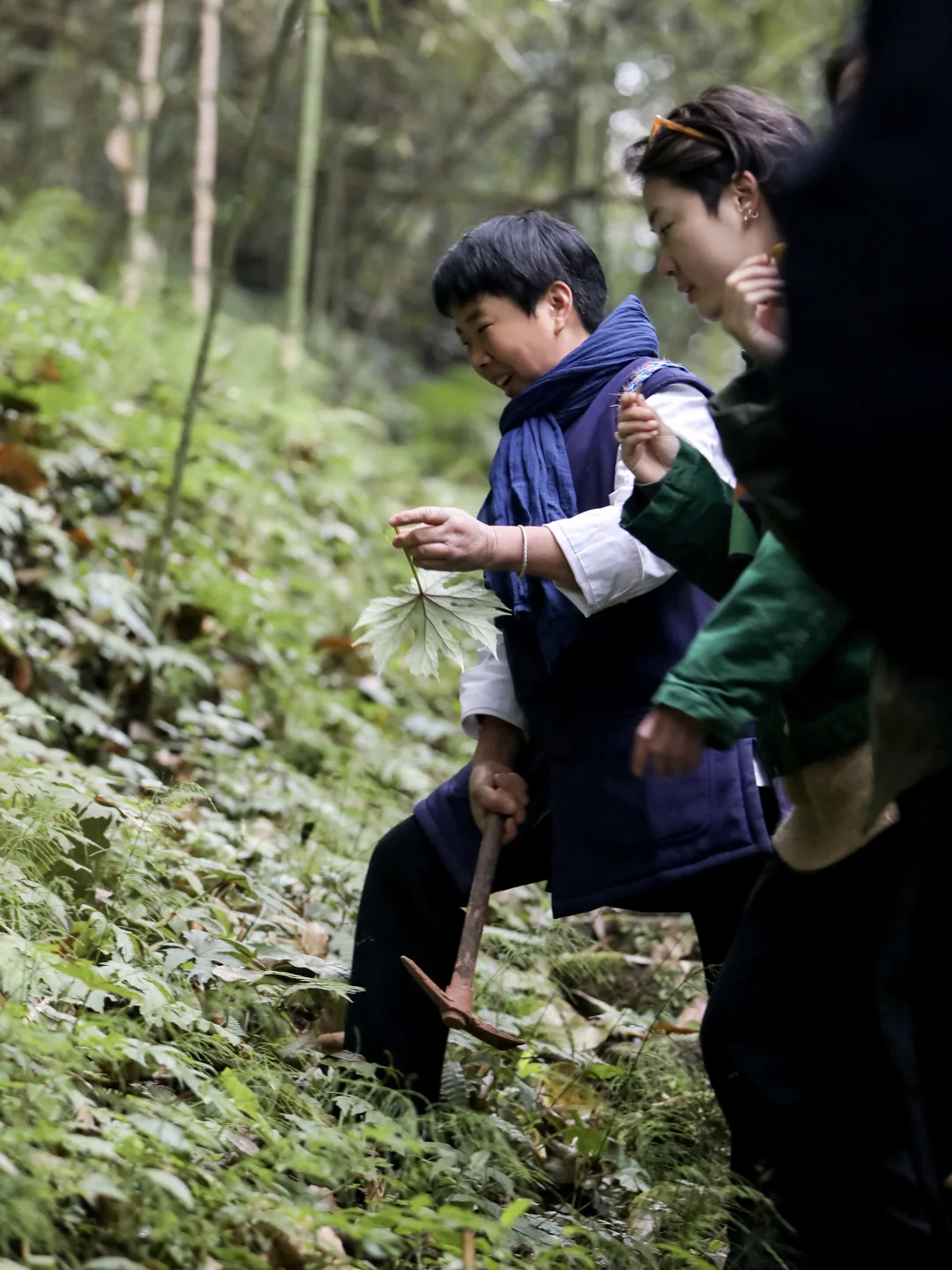 吐纳自然 感知身心