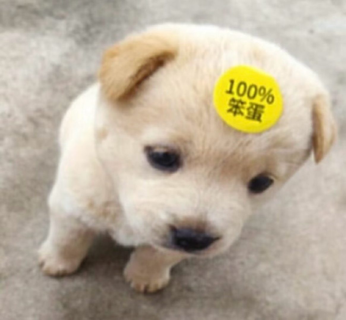 在我眼里： ​