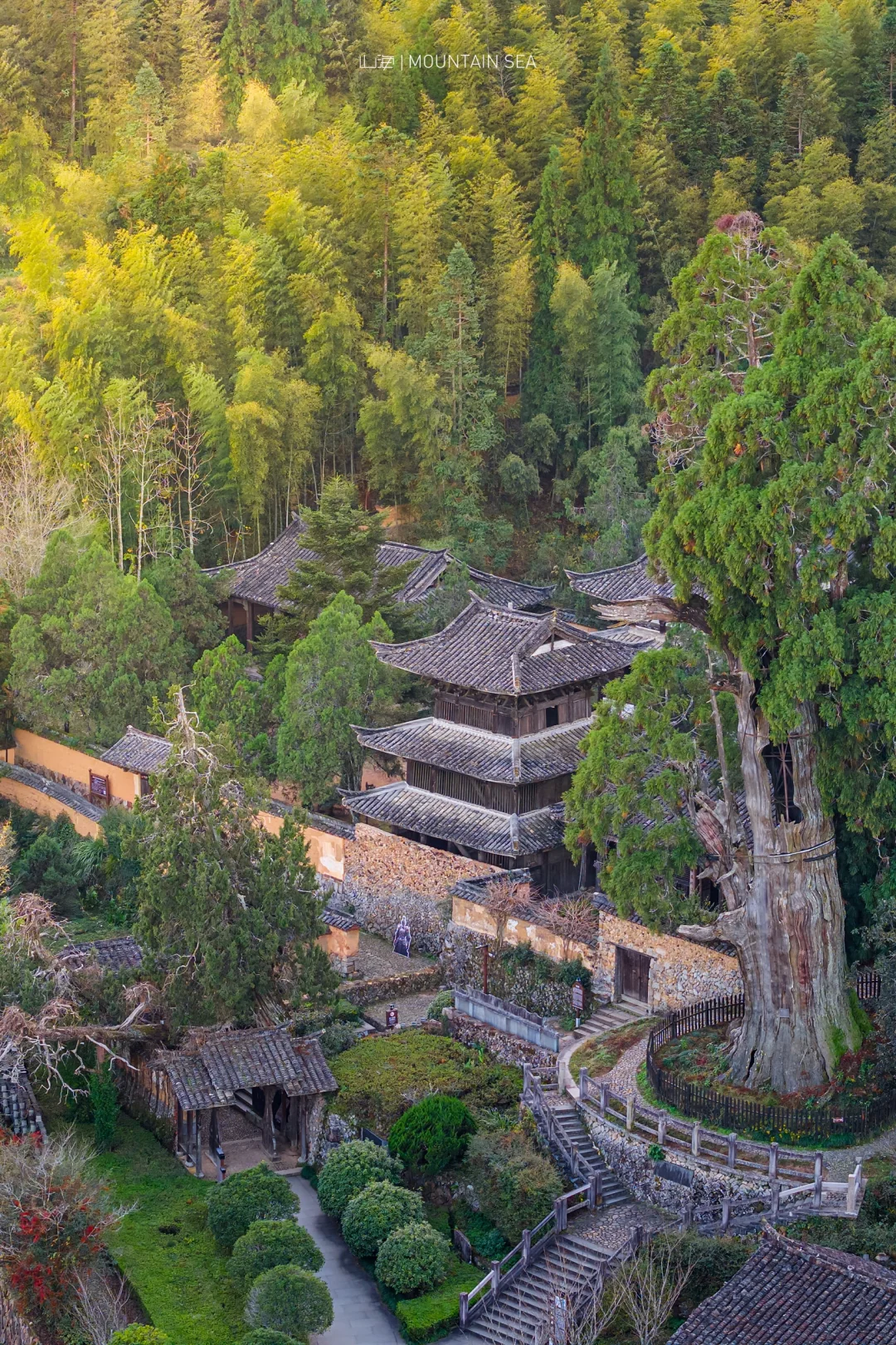 🏮春节新年，江浙沪亲子游一站式解决方案
