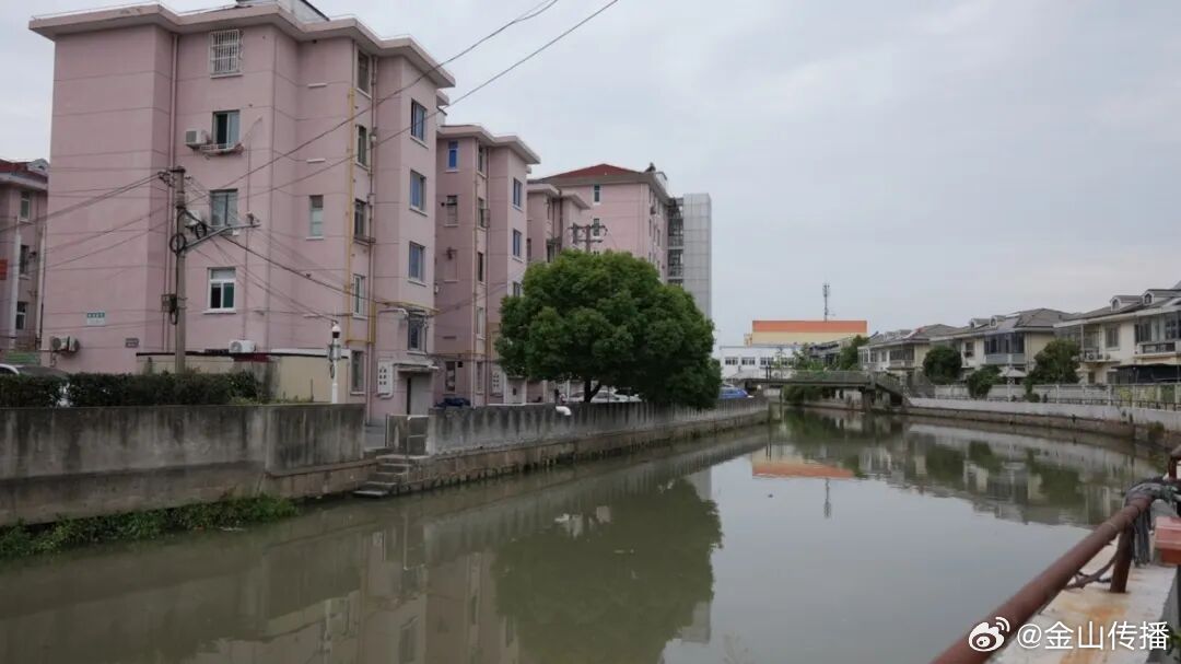 【金山72岁老人纵身跳河，救回6岁孩童…】
10月9日16时
许亭林镇新建新村北侧运港河畔
发生惊险一幕
一名6岁孩童在临河台阶玩耍时
失足落水，命悬一线
家住河对岸寺平新村的
72岁老人翟志新
听到呼救后
毫不犹豫跳入河中施救
将孩子救回岸边 ​