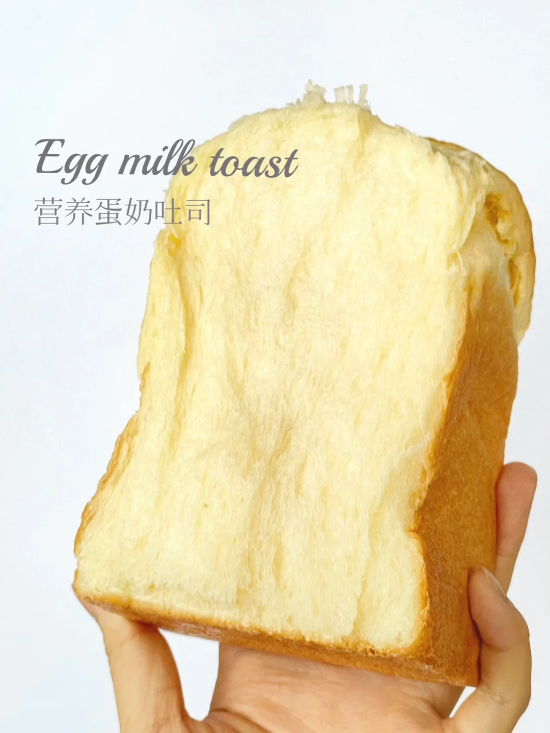 营养蛋奶吐司｜早餐必备｜长得比三阿哥还要高