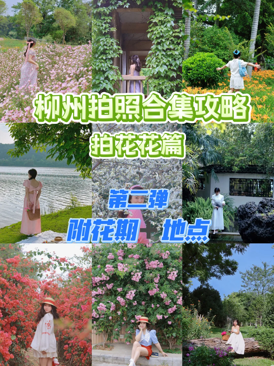 柳州拍照攻略！！赏花篇第二弹（附花期➕地址）
