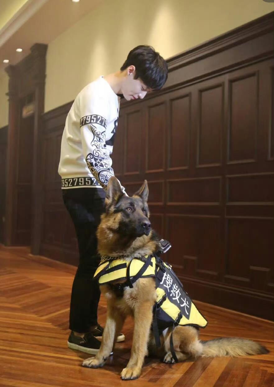 #张艺兴# 小绵羊和他的🐕 好可爱好温柔啊[可怜] ​