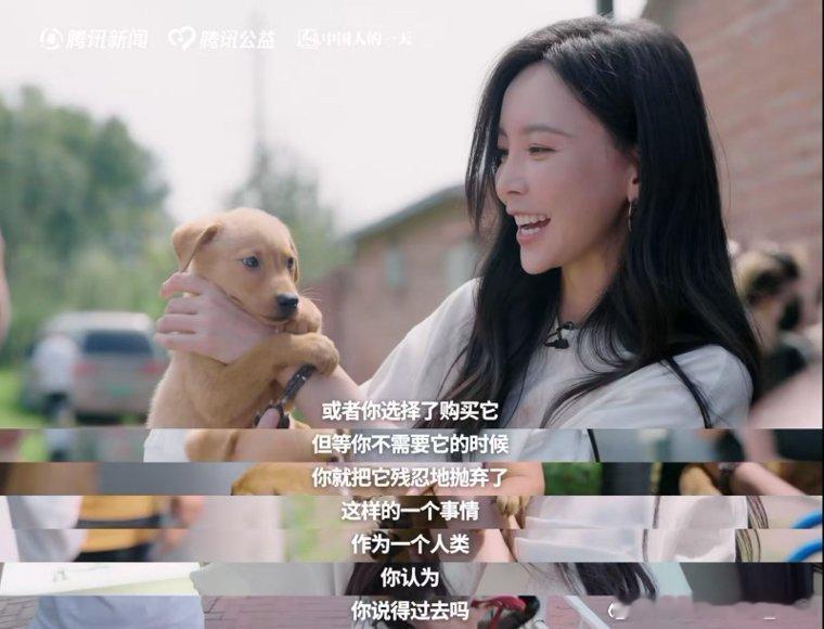 #于文文呼吁不要残忍抛弃宠物##志愿者称60%流浪动物熬不过北方冬天# 看了真的心里挺难受的，冬天对流浪毛孩子太残酷，于文文呼吁不要残忍抛弃宠物，养了就请负责到底，不要一时兴起再丢掉！ ​