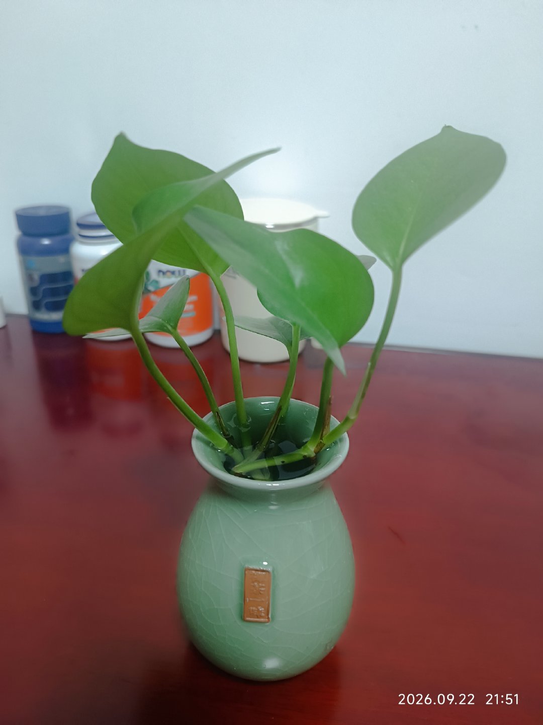 #生活手记# [月亮]嗯，不问候，不期待，这是一个很清醒，也很照顾自己的决定，把明天还给自己[微风]好好吃饭，好好举哑铃，好好看书，好好写字画画好好睡觉[微风]Deepseek⭕什么什么那是他的事，你的平静才是你的事[微风]晚安💤#好好爱老己#  ​