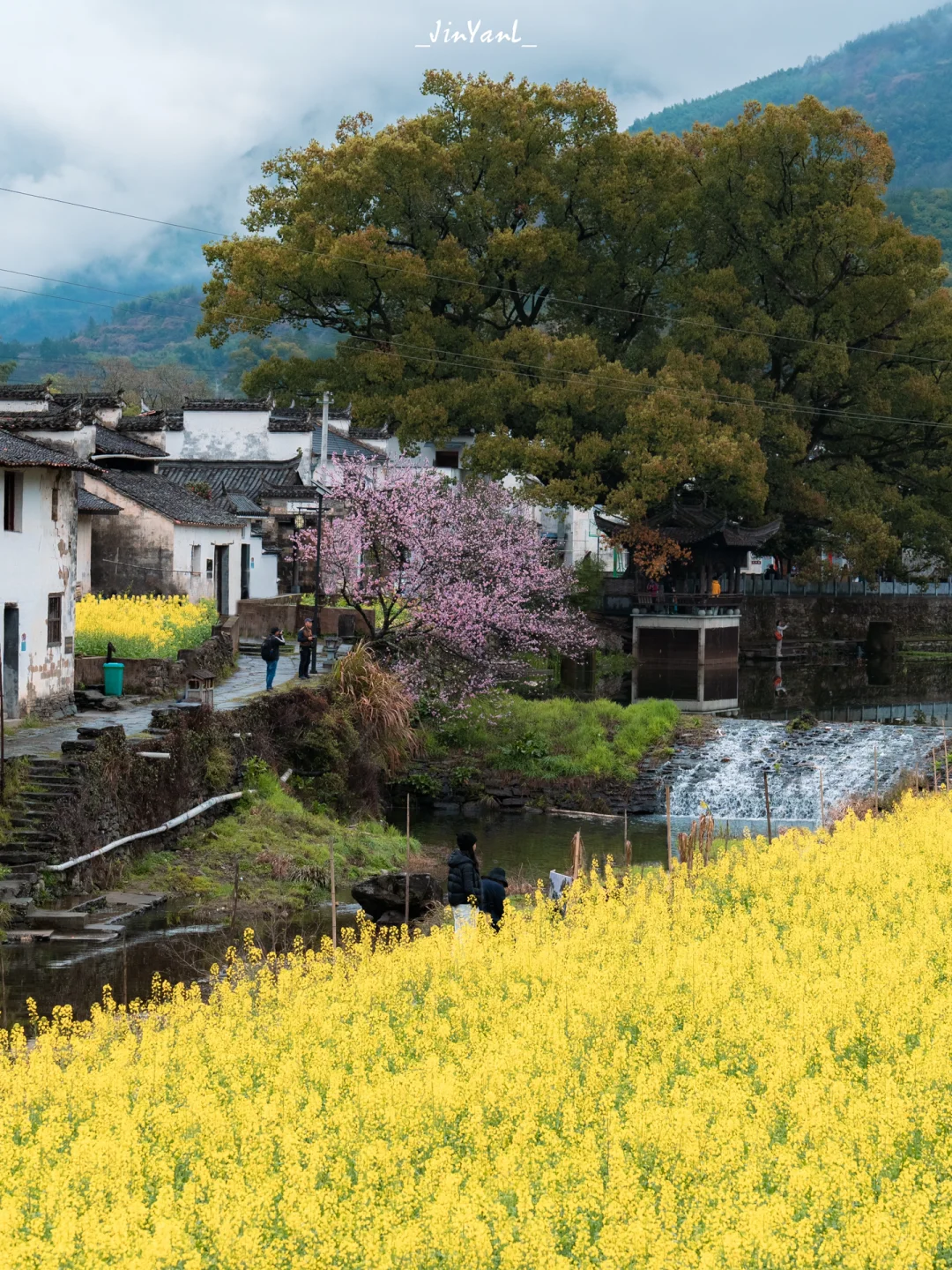 春日空山新雨🌿我拍到了古诗词里的中国山村