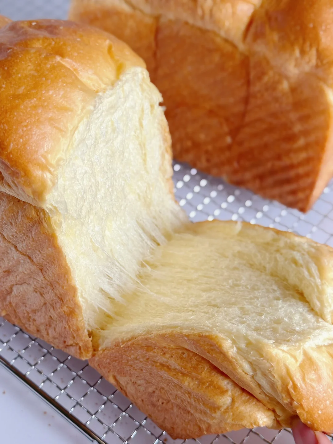 基础鲜奶吐司🍞柔软拉丝～附详细做法～