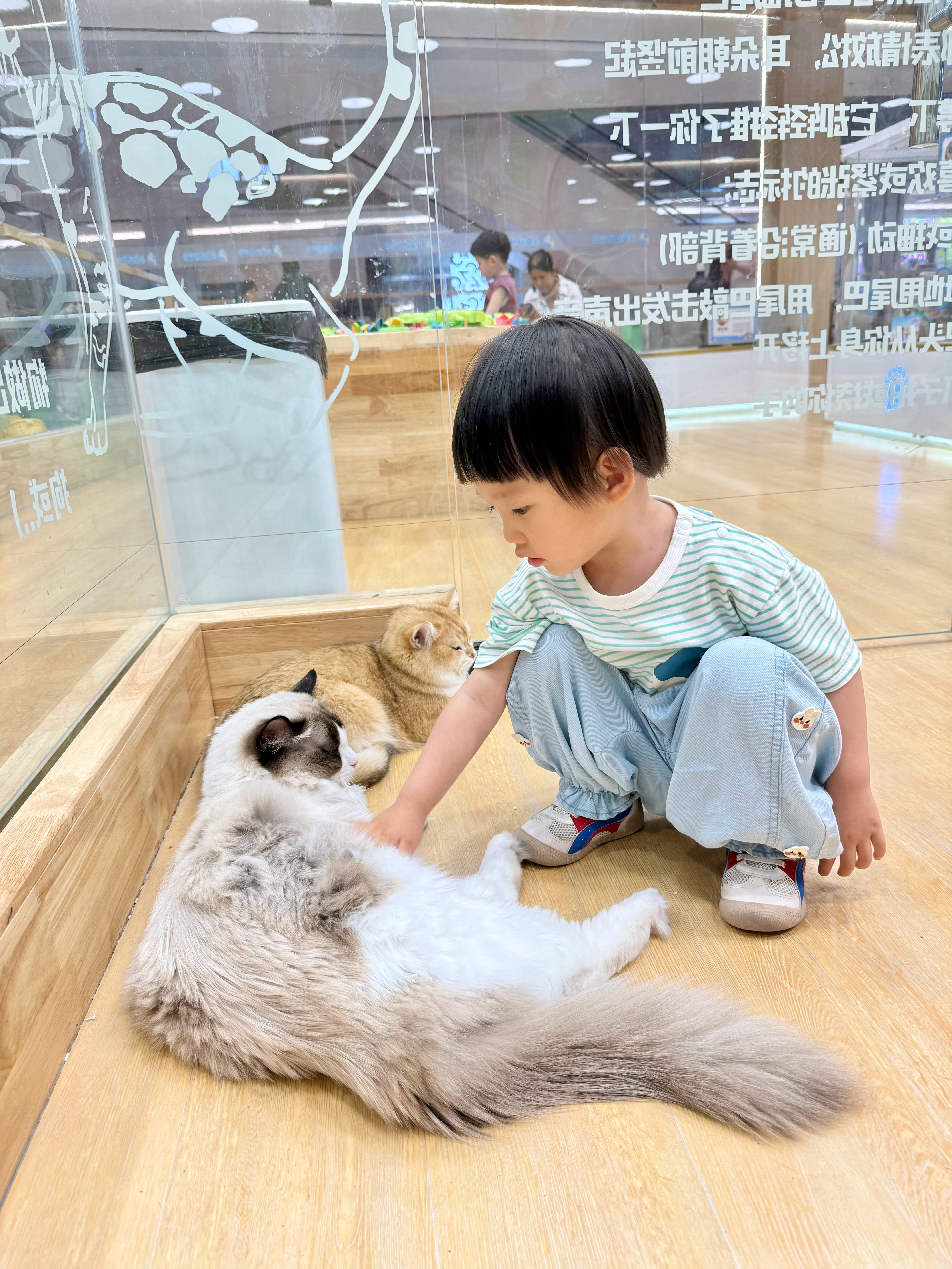 虽然她才两岁，但她真的超会表达  团子每次洗澡的时候都要一堆小动物玩具...