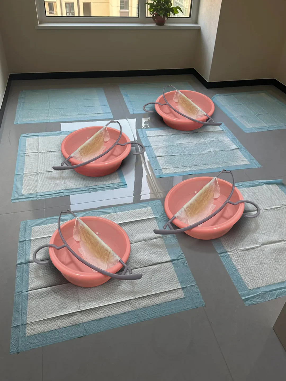 25岁因为除醛太快被物业连夸3个月！真的谢