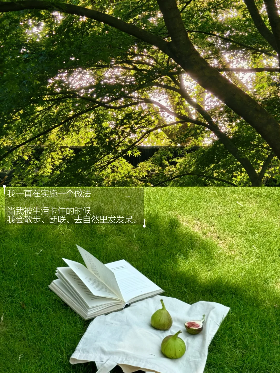 我的解压方式：散步 断联 到自然里去。