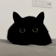 Jevons宏观笔记