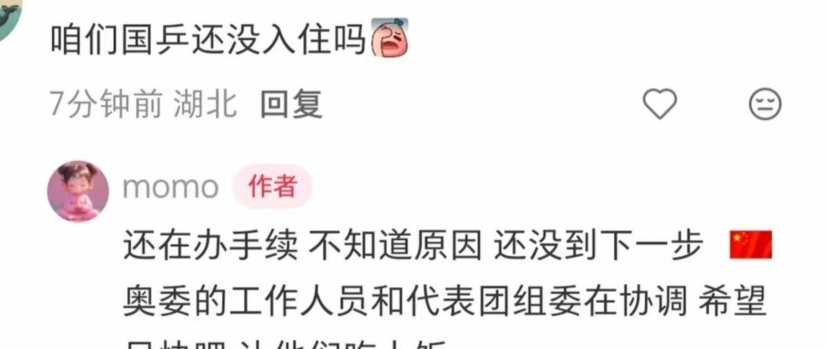 国乒凌晨四点从北京出发，中午落地名古屋，莎莎曼昱他们硬是在机场干等了快六个小时，现场只发水不给饭，一群人饿着肚子铺瑜伽垫自己拉伸。马龙天没亮就站在大巴旁挨个击掌送行，梁靖崑没进名单照样跟队当陪练，结果人到了日本先体验了一把机场生存战。说实话，办过奥运办过世锦赛的地方，接驳系统能乱到查不到人、派不出车