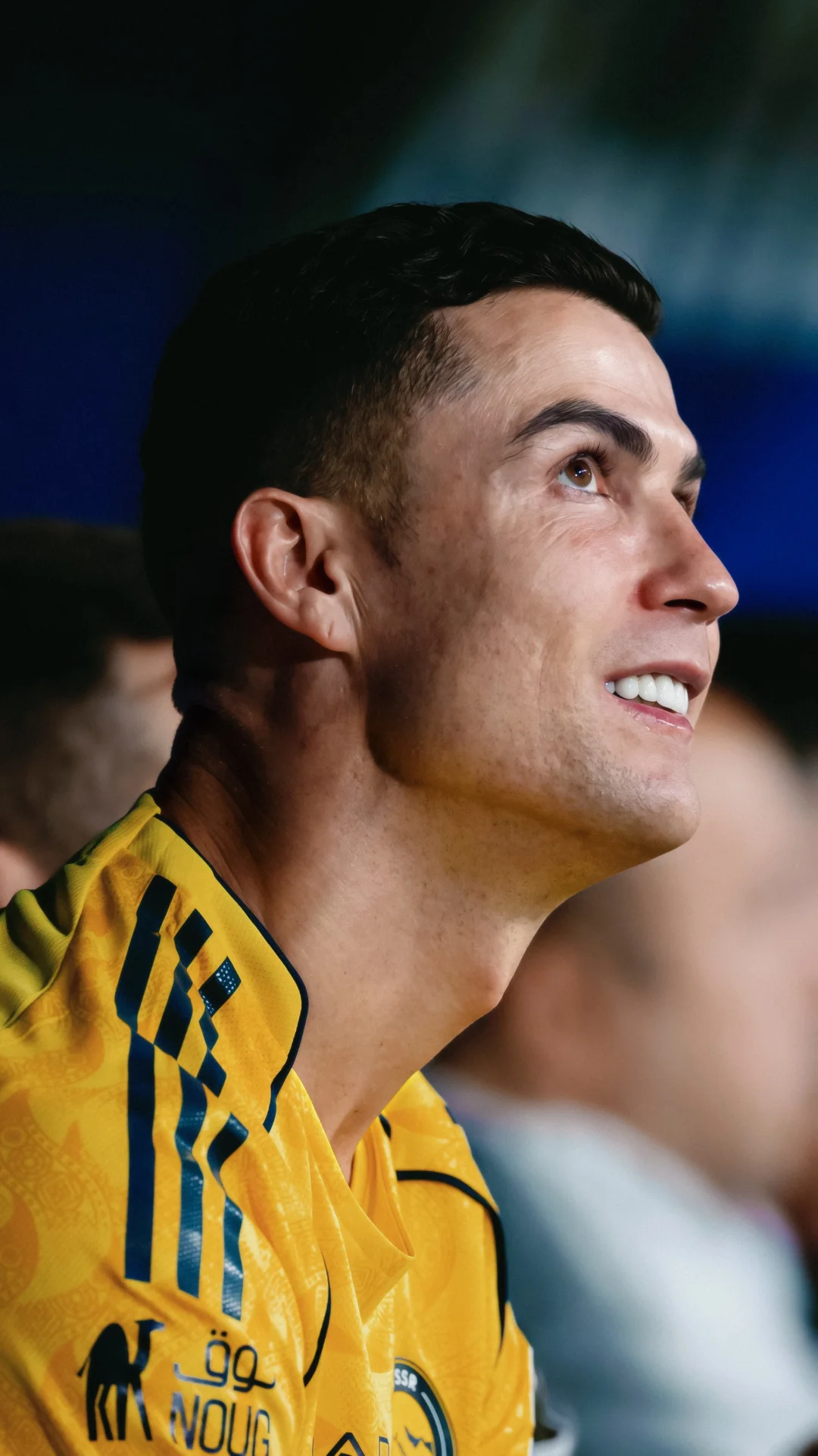 尊贵的罗迷上午好