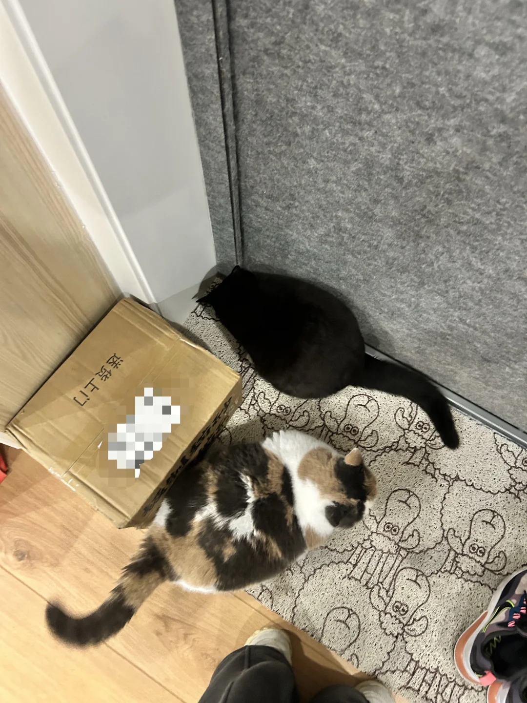 出门上班被两只鼠标拦住了