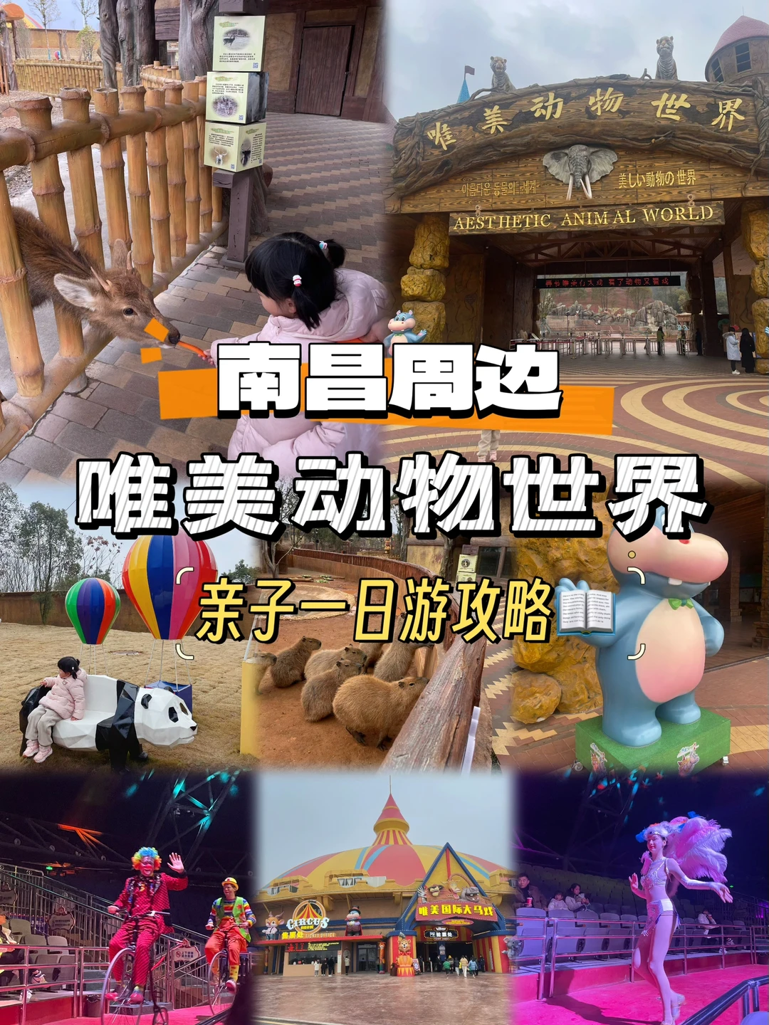 南昌周边｜唯美动物世界亲子一日游（附攻略）