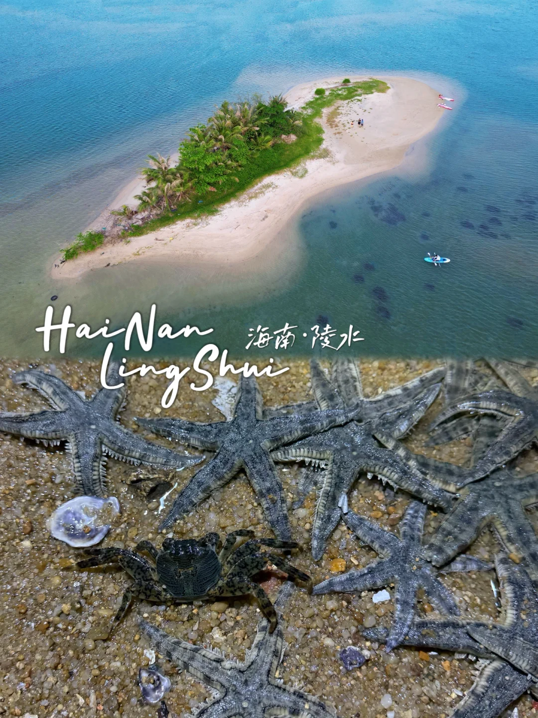 陵水超好玩的神秘小岛🏝 海星炸窝了‼️