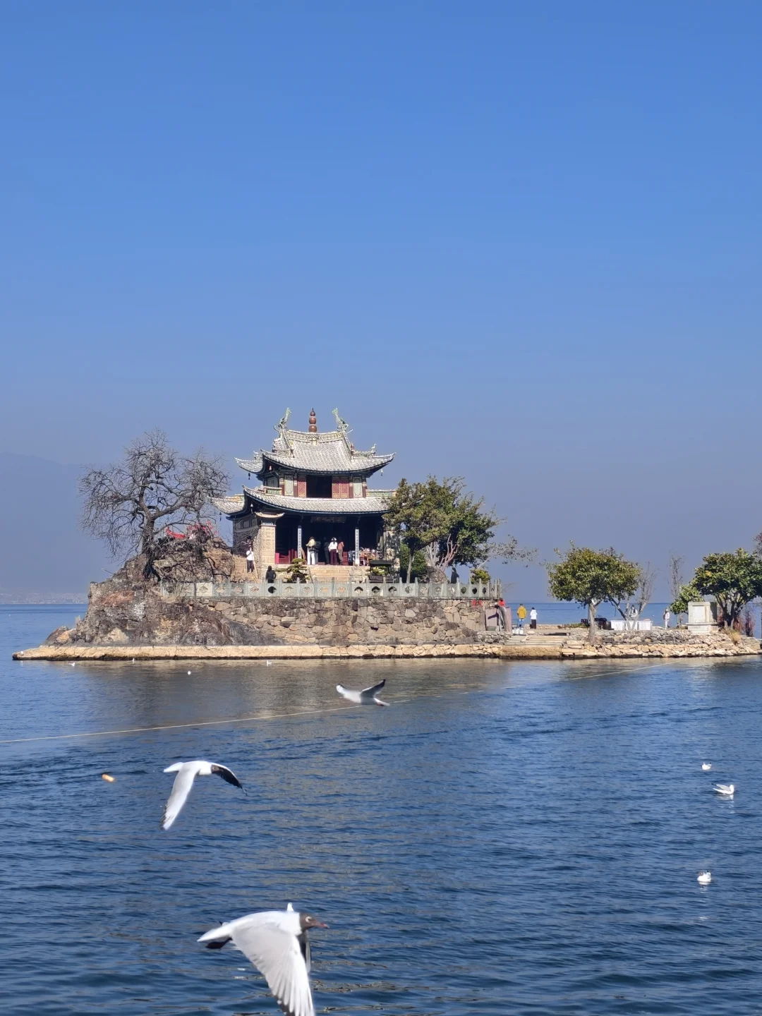 带70岁父母2日游大理⭕直接复制这条路线