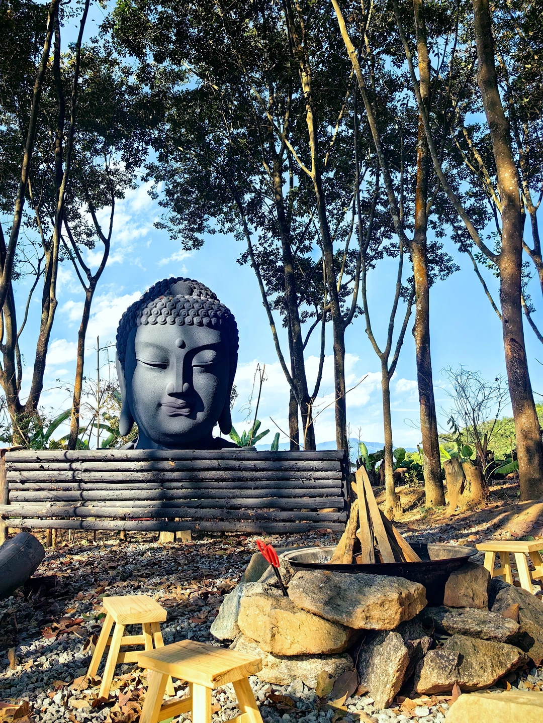 版纳这个即将爆火的小众打卡地终于藏不住了